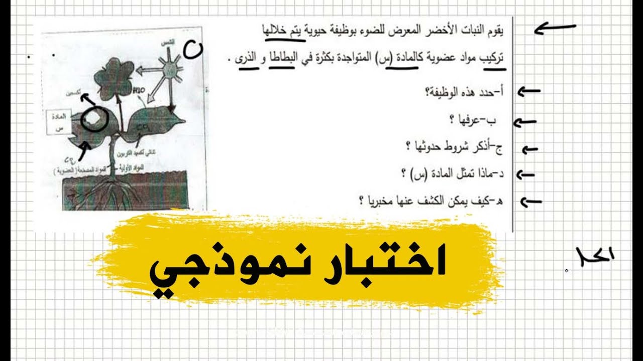 اختبار نموذجي التركيب الضوئي علوم طبيعية للسنة اولى متوسط