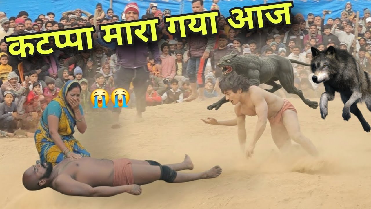कटप्पा को मेवा थापा की भेडियो ने किया हमला कटप्पा मारा गया Meva thapa ki new kushti 