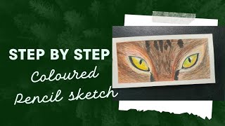 How to draw A Cat's eyes with coloured pencils// cat fur// Drawing tutorial @artbyvincy