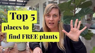 Top 5 places to get FREE plants | How to get free plants