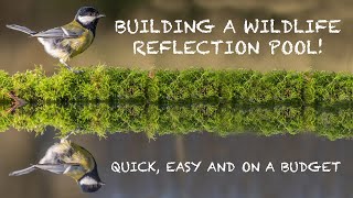 Building a WILDLIFE REFLECTION POOL  Quick, easy and on a budget!