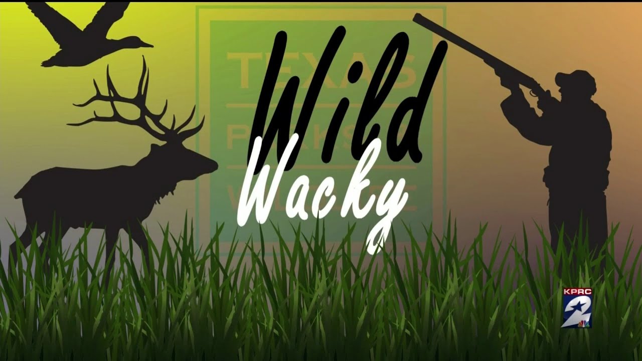 The wild & wacky tales from the life of a Texas Game Warden
