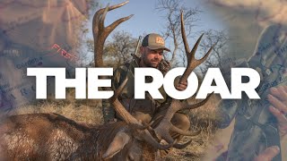 The Roar | Argentina Red Stag | The Sako Great Hunt Series