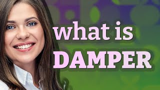 Damper | meaning of Damper