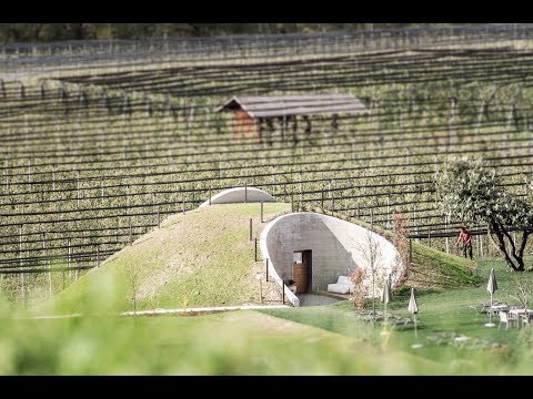 Video: Die Applesauna fördert Entspannung in der Natur durch grünes Design