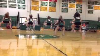 NMHS Dance Team @ NM bball Halftime, 1 7 14