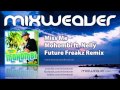 Miniature de la vidéo de la chanson Miss Me (Future Freakz Remix)