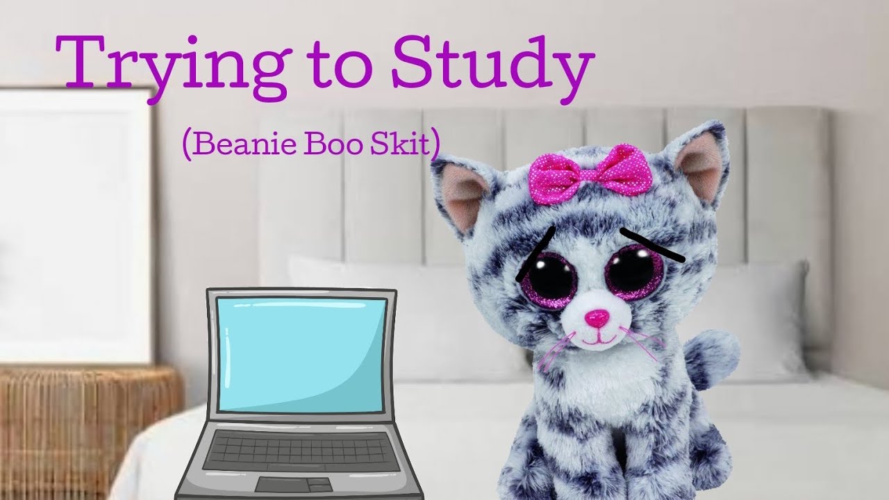 Trying to Study (Beanie Boo Skit)