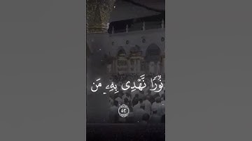 ترنم لم يسبق له مثيل ! للشيخ د. أحمد الحذيفي من سورة الشورى #tilawatequran