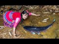 Harvesting corpseeating fish  harvest and take care family  ella daily life