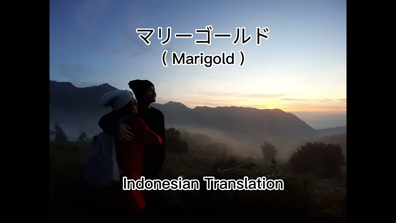 マリーゴールド (Marigold) Aimyon (Cover by Kota Yamamoto)