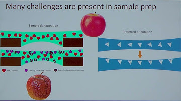 Watch Behrouz Ghazi Esfahani