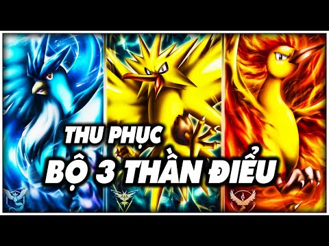 Video Hành Trình Thu Phục BỘ BA THẦN ĐIỂU MOLTRES, ZAPDOS VÀ... - youtube