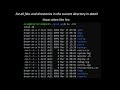 Linux File System and Navigation