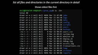 Linux File System and Navigation