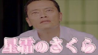 ジャパハリネット【星霜のさくら】MUSIC VIDEO