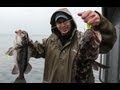 Oregon Coast Rockfish & Lingcod