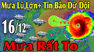 Mưa Lũ Lớn Tin Bão Dữ Dội Mưa Rất To | Dự Báo thời tiết ngày 16/12 | thời tiết 10 ngày tới