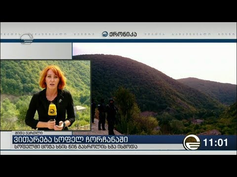 ქემოკლიძე: სოფელ ჩორჩანასთან სროლა აქტიურ სამონადირეო სეზონს უკავშირდება