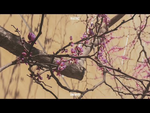 Mira Solistence - Somewhere (Audio) en YouTube