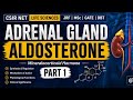 Adrenal Gland: Aldosterone Hormone Complete Lecture | MSc + CSIR NET #neet #zoology #lifesciences 