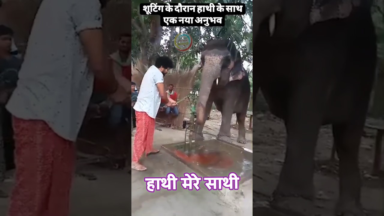 Yash Kumar Mishra Film | Hathi Mere Sathi | film shooting | bhojpuri upcoming film 