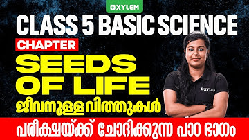 Class 5 Basic Science | Chapter: Seeds of Life ജീവനുള്ള വിത്തുകൾ | Xylem Class 5