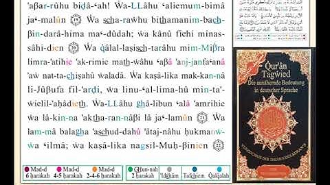 ختمة من مصحف التجويد باللغة الألمانية الصفحة رقم 237