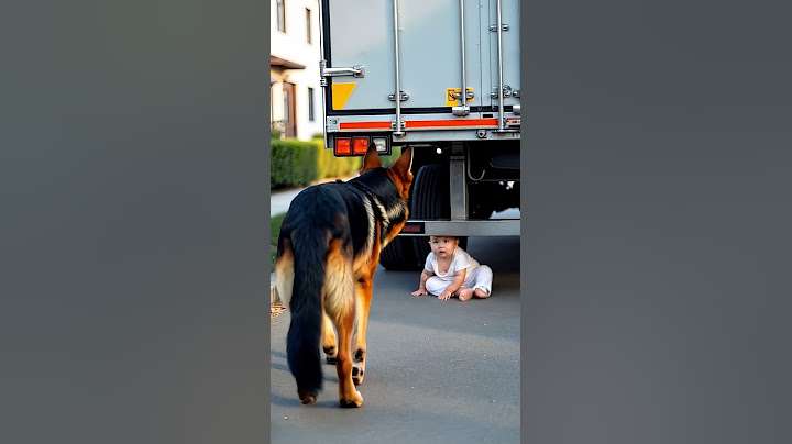 Dog Rescues Baby From A Car