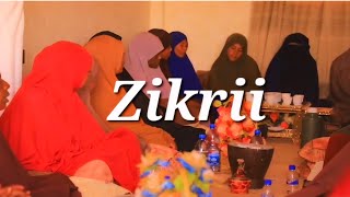 Beautiful Zikrii Gathering Queen Hamdia