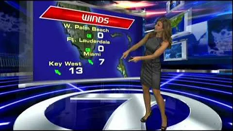 WSVN Weather Julie Durda Black Dress 9/22/2011