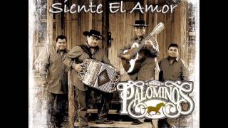 Los Palominos - Te Sigo Extrañando chords