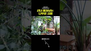 [풀버전은 제목click] 미란 언니의 카메라 무빙 실력😜🎥
