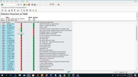 Roles, Users, Profiles, Authorizations Comparison in SAP system - Locally & Remotely