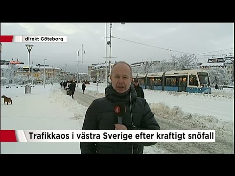 Video: Vilken typ av drama är en spårvagn som heter Desire?