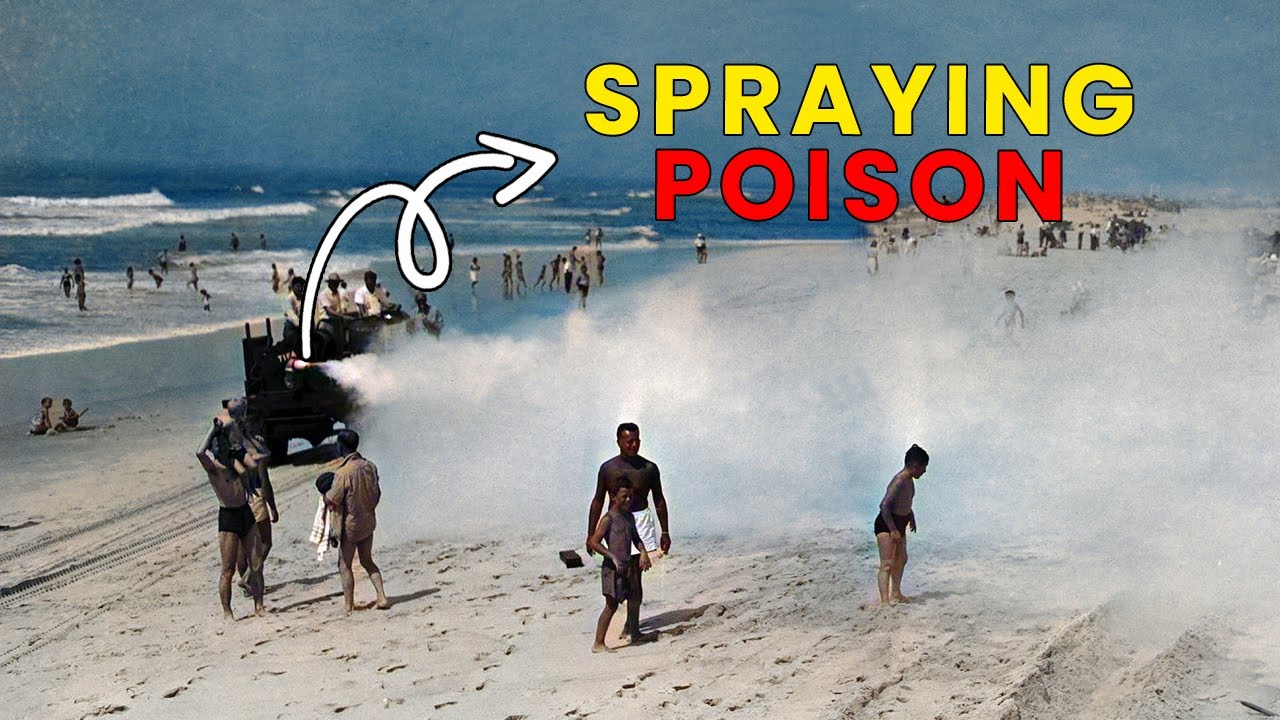 DDT From Safest Chemical to Environmental Horror YouTube