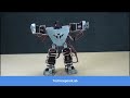 17 DOF Humanoid Robot Working Demo