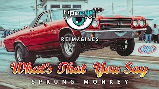 NHRA Drag Racing CRASHES Meet Sprung Monkey 🐵 &#39;What&#39;s That You Say&#39;