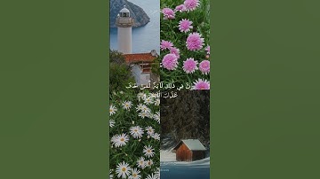 وكذلك أخذ ربك إذا أخذ القرى وهي ظالمة إن أخذه أليم شديد - سورة هود - الشيخ مشاري بن راشد العفاسي