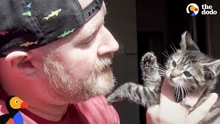 Man Falls In Love With Fostering Kittens | The Dodo