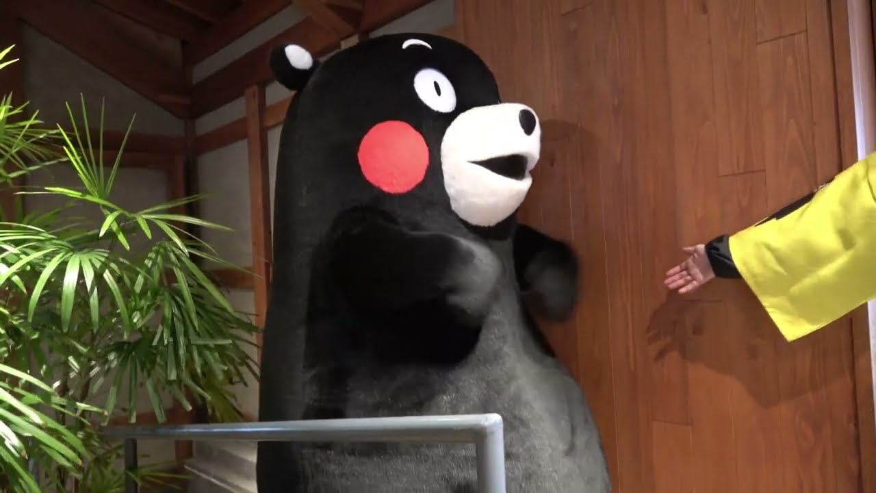 Kumamon Land Official Bus Tour] [Yamato] Kumamon Appears at Lunch