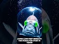 This Fish Has a TRANSPARENT Head! 🤯 #shorts