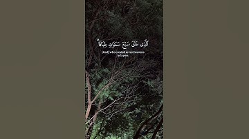 سورة الملك(اقرأها قبل النوم تمنع عنك عذاب القبر)