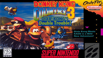 Donkey Kong Country 3: Dixie Kong