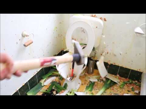 How To Fix a Leaking Toilet in Forward and Reverse (READ DESCRIPTION)
