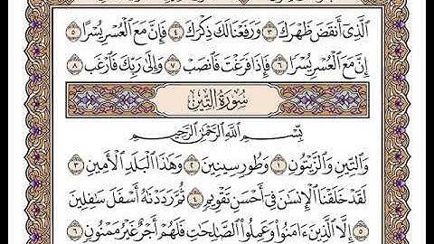 سورة التين بصوت الشيخ وديع اليمني
