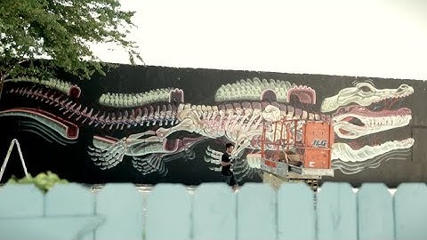 "The Deepest Depths of the Burrow" - Miami Trailer