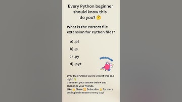 Python Quiz: Do You Know the Right File Extension? #shorts #python #effectking