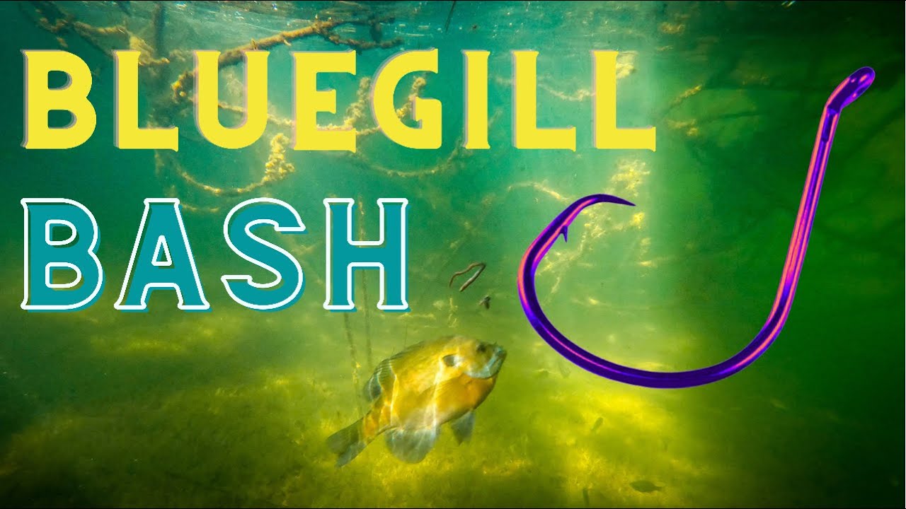 Catch and Release More Bluegills With Circle Hooks (you will never go  back!) 
