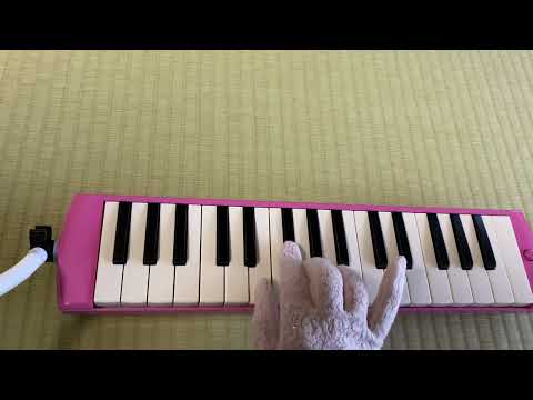 「天空の城ラピュタ」より君をのせて＃鍵盤ハーモニカ